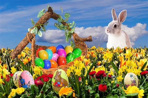 frohe ostern pics